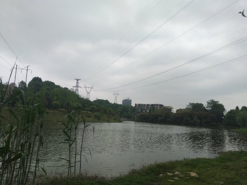 长沙市青竹湖休闲公园旅行图片 1