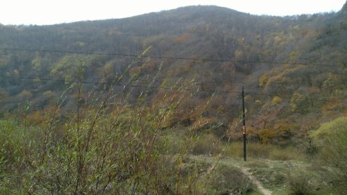 金莲山森林公园旅行图片 1