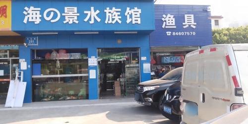 海之景渔具·锦鲤·观赏鱼水族馆