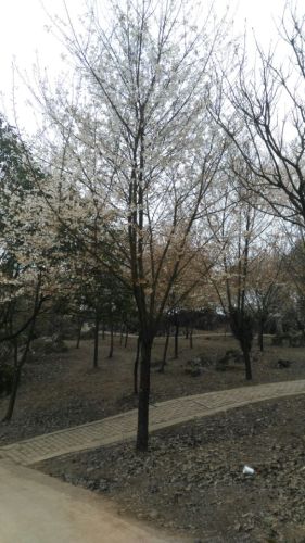 白岩天仙谷旅行图片 2