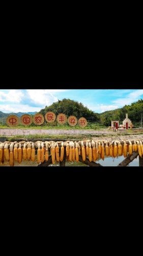 霭里中国乡村旅游模范村旅行图片 1