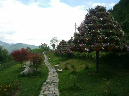 九重花岭旅行图片 3