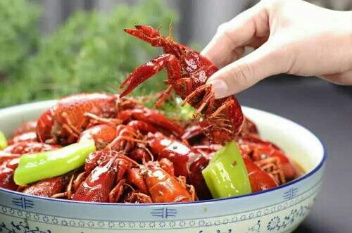 大行龙虾