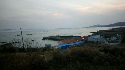 潮湾秦代造船遗址旅行图片 1