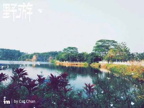 荷塘公园旅行图片 1