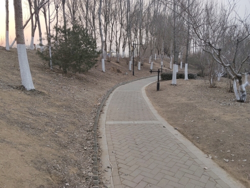 洋河公园