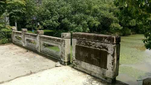 泖田湿地旅行图片 2