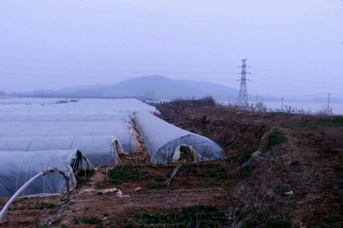鄫国故城遗址旅行图片 1