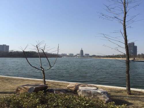 涟漪湖黄嘴白鹭省级自然保护区旅行图片 3