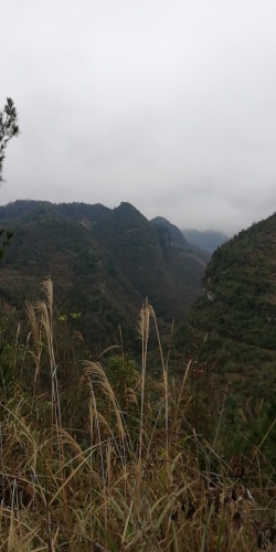 奇洞天景区旅行图片 1