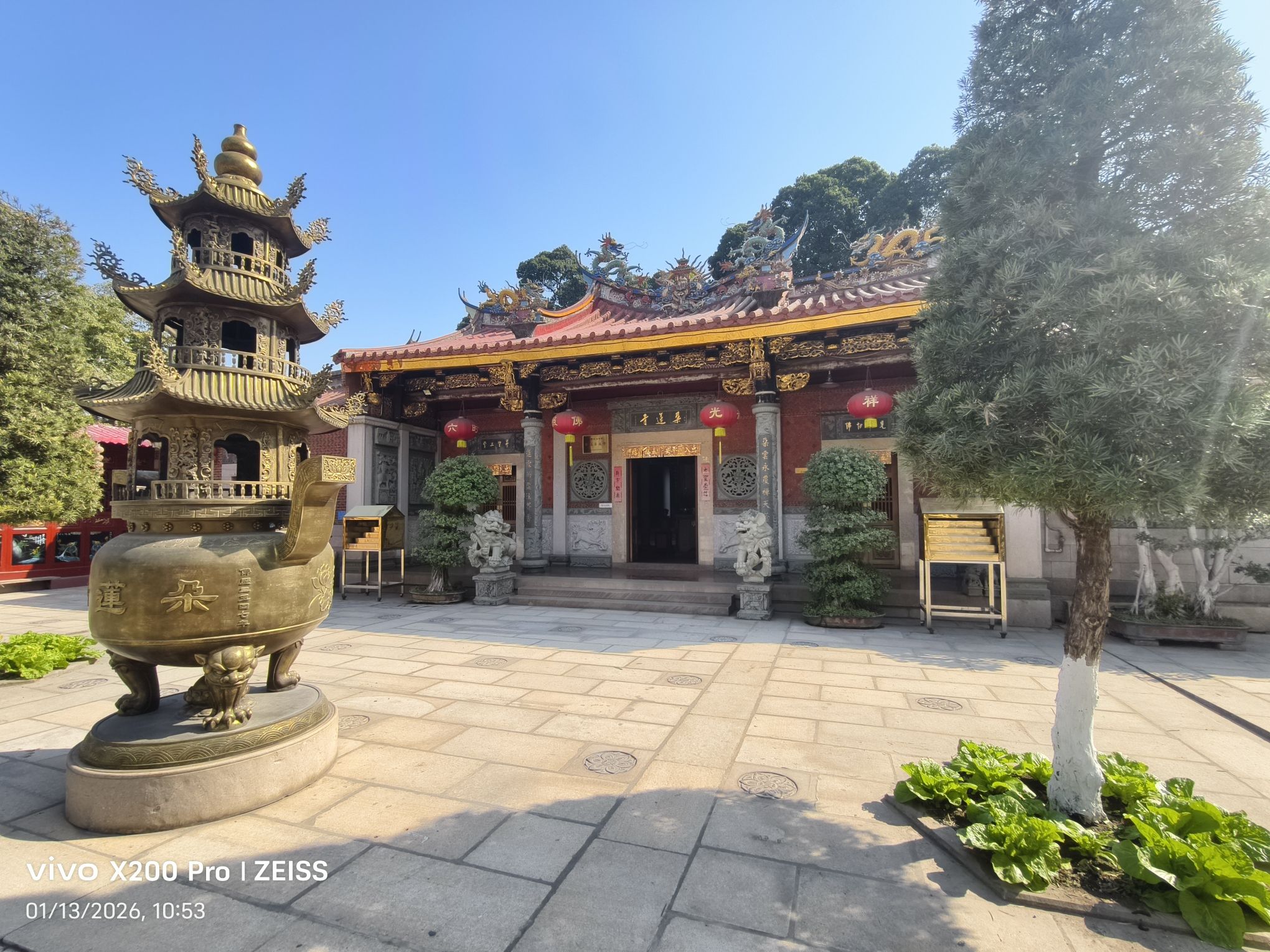 朵莲寺实景照片