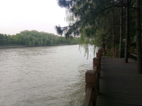 罗家角遗址旅行图片 1