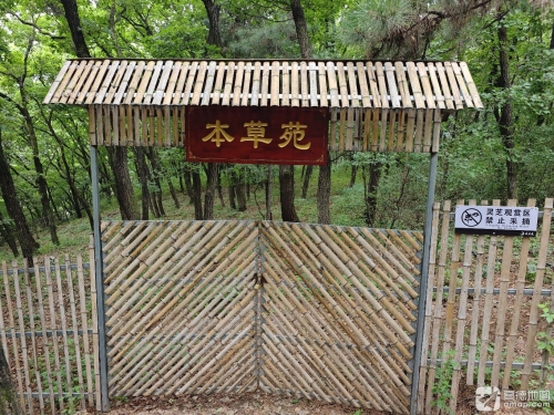 净月潭国家森林公园-本草苑