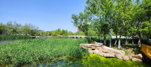 小流津河公园
