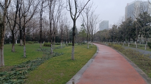 謇公湖植物园旅行图片 2