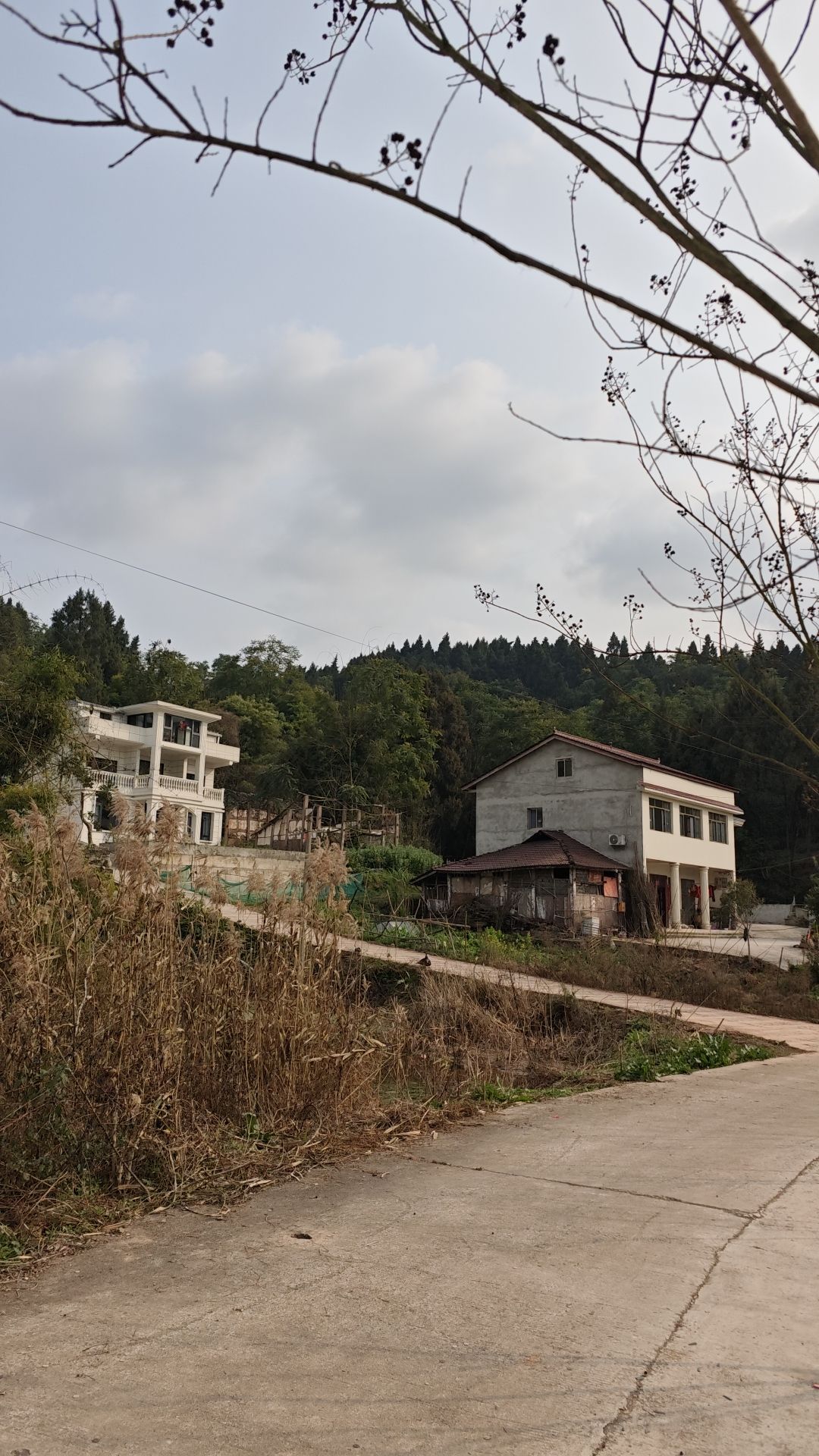 福国寺实景照片