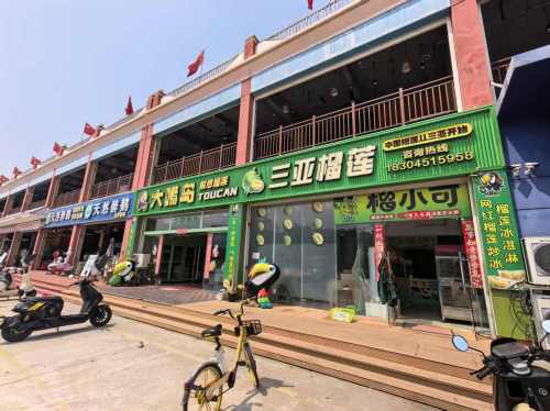 大嘴鸟报恩榴莲旗舰店三亚湾店