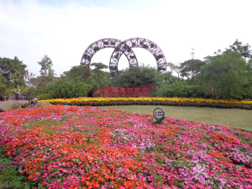 中澳友谊花园现场照片 3