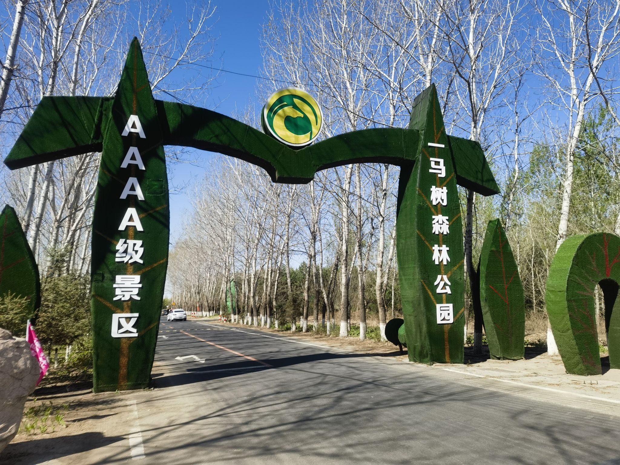 一马树森林公园