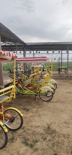 黄花滩自然风景区旅行图片 1
