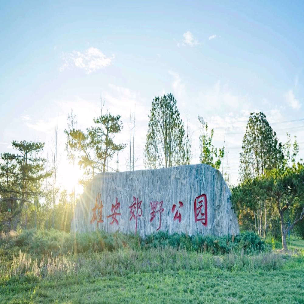 雄安郊野公园景点图片