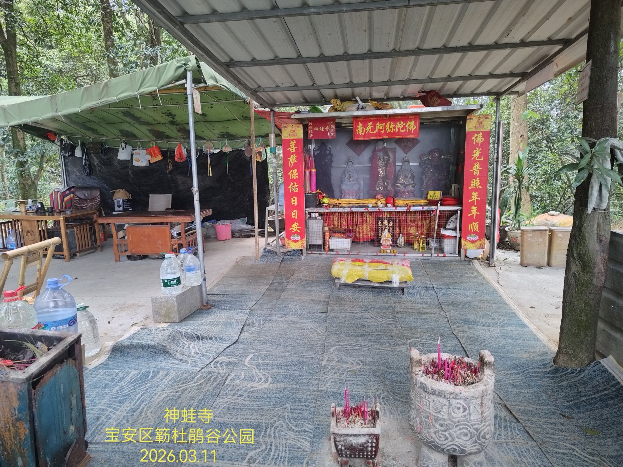 神蛙寺实景照片