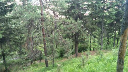 青龙山公园旅行图片 2