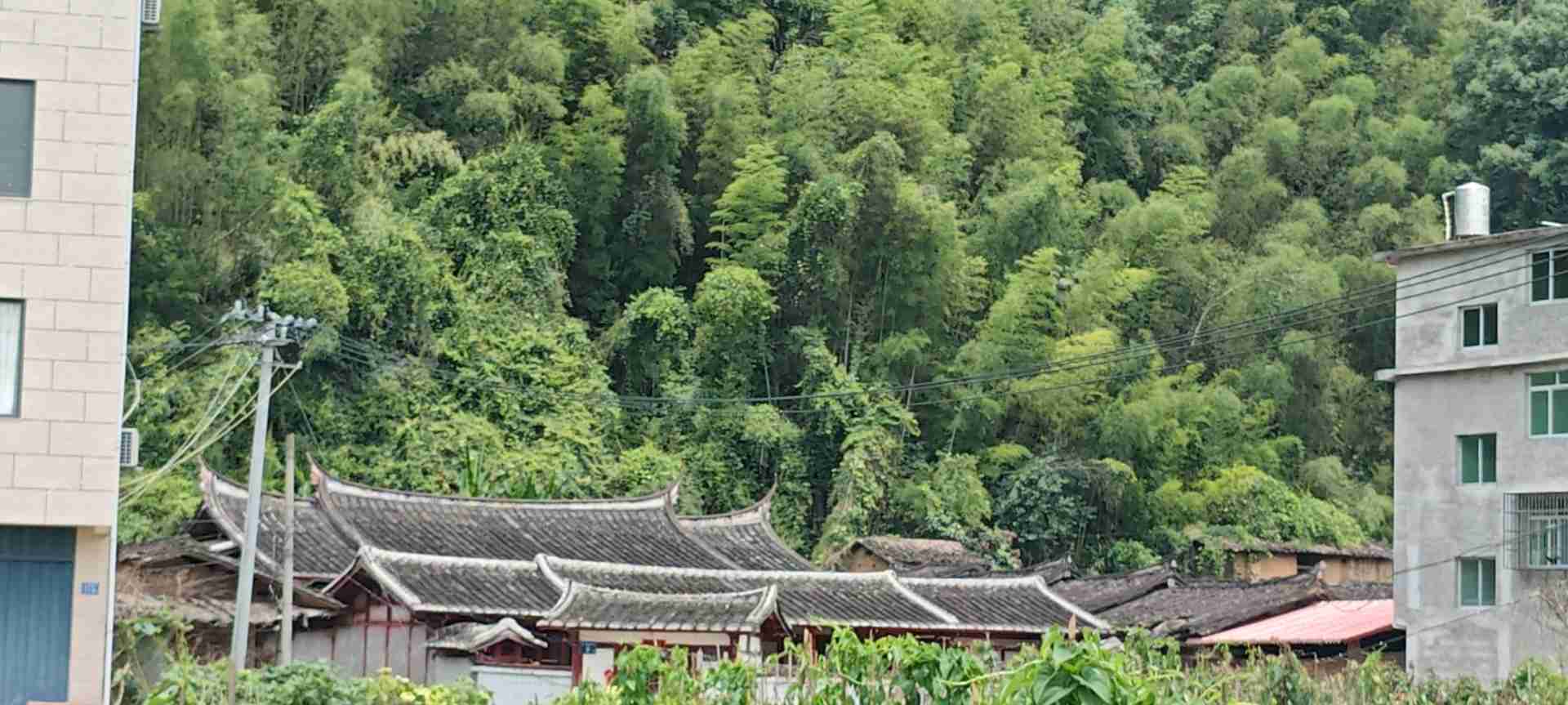 福建省三明市尤溪县台溪乡大头桥村林氏宗祠实景照片