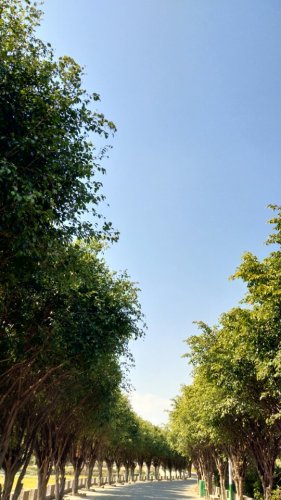 故居公园旅行图片 1