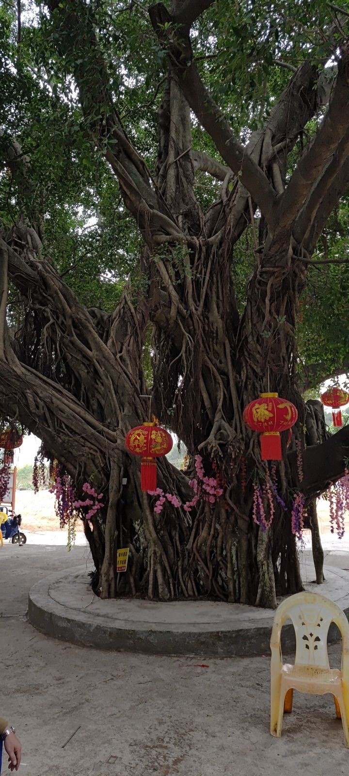 定壮庵东来岩实景照片