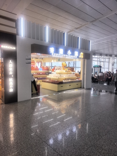 香港小熊ReneLittleBear