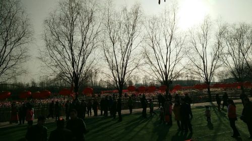 北京琉璃河天香牡丹园旅行图片 1