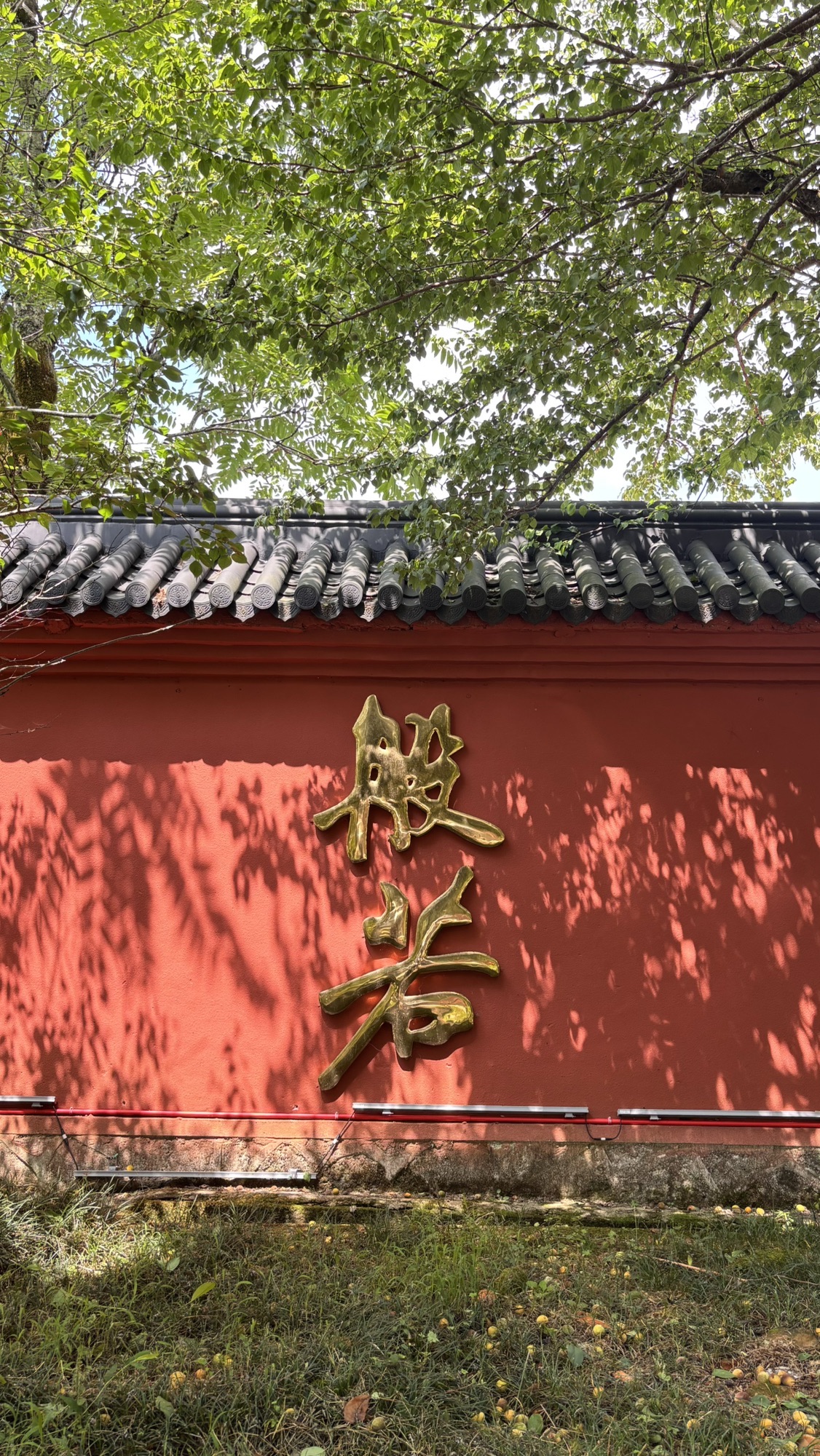 雪峰崇圣禅寺实景照片