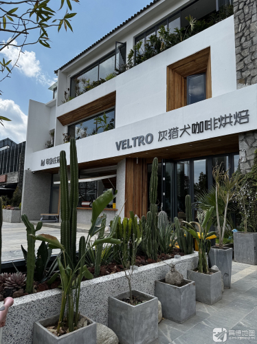 印象庄园Veltro灰猎犬精品咖啡烘焙(左岸高地店) · Dali