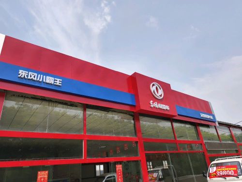 定州市东风小霸王泰瑞4s店