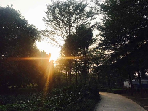 蓝溪湿地公园旅行图片 3