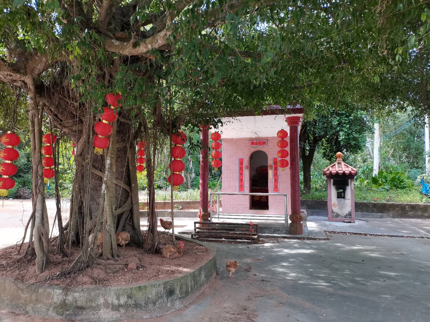 乐民镇乐民圩土地庙实景照片