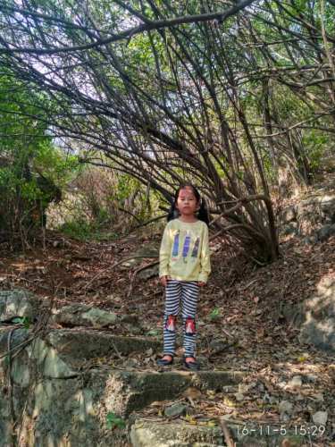 蜡烛山公园旅行图片 3