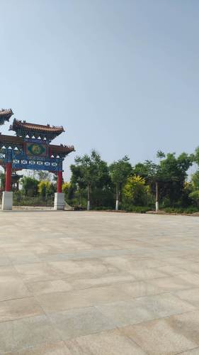 莲花公园旅行图片 2
