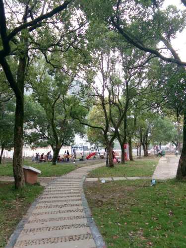 沙湖公园旅行图片 1