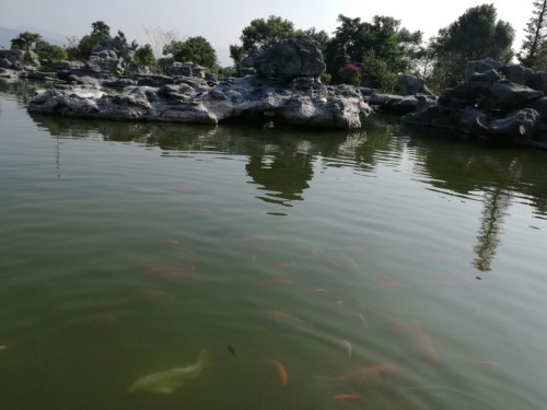 英石园度假村旅行图片 3