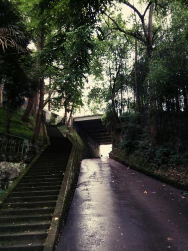 东明湖(不对外开放)旅行图片 2
