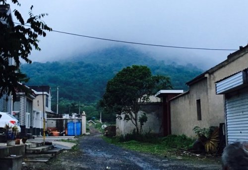南京灵岩山市级森林公园旅行图片 2