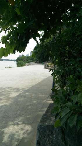 桃江湿地公园旅行图片 1