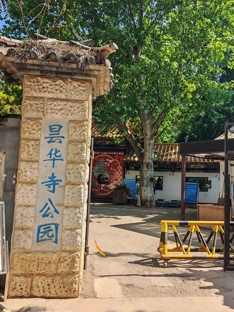 昙华寺公园实景照片