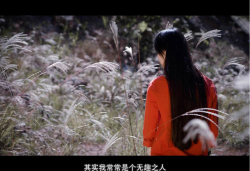 湖山森林公园旅行图片 3