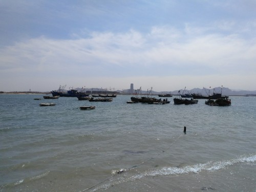卓达海洋公园旅行图片 3