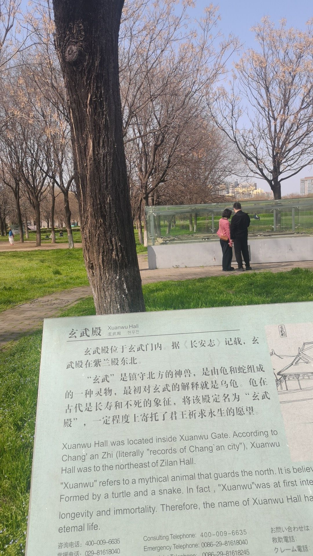 大明宫国家遗址公园-玄武殿实景照片