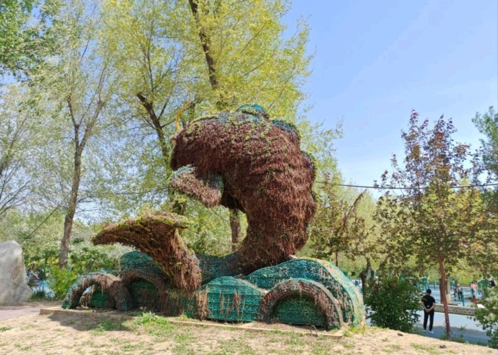 鲤鱼山公园景点图片