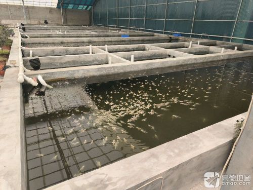 淄博经开区森泽水产养殖场实景图（2）